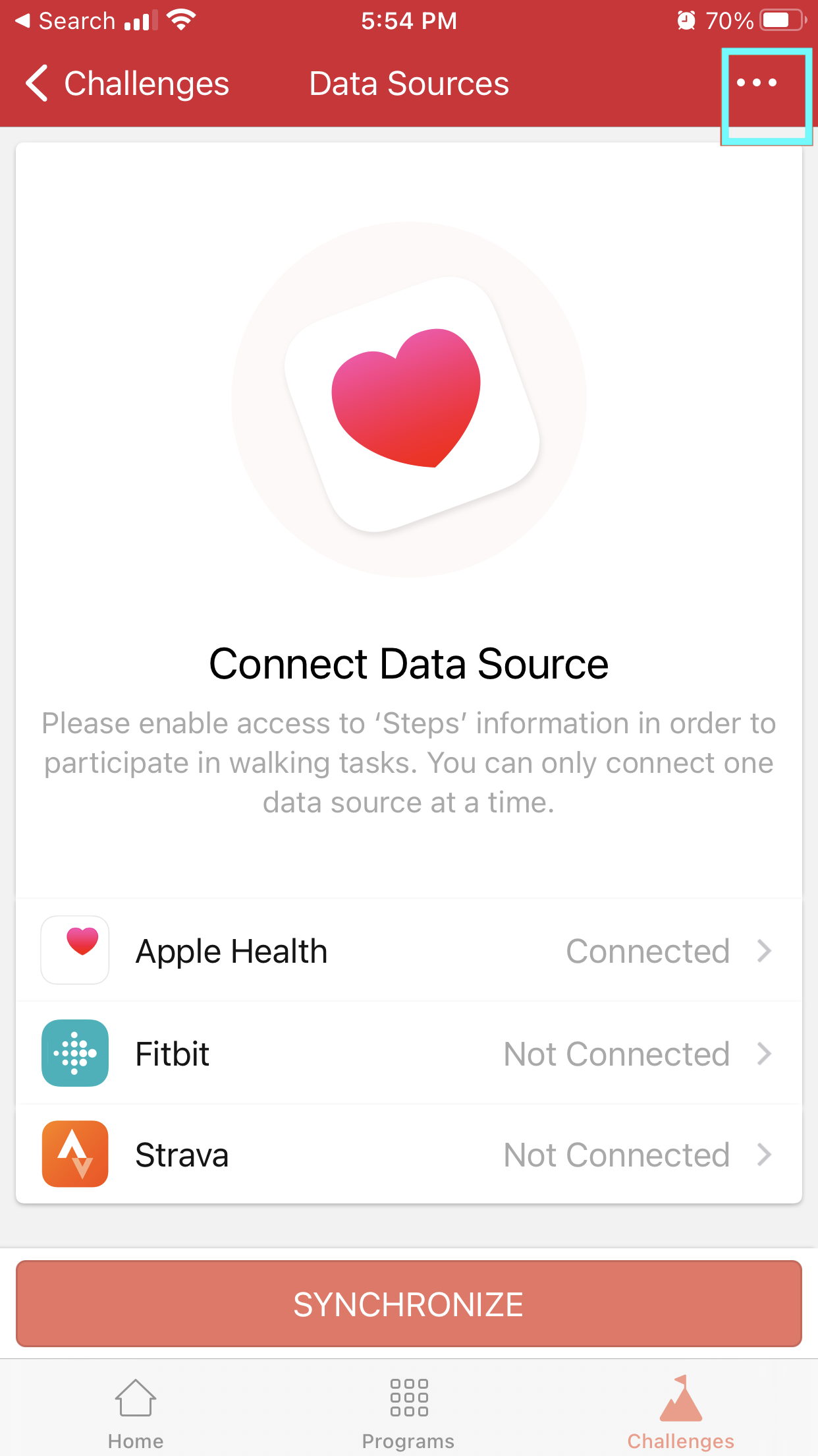 Screenshot showing the Synchronize button