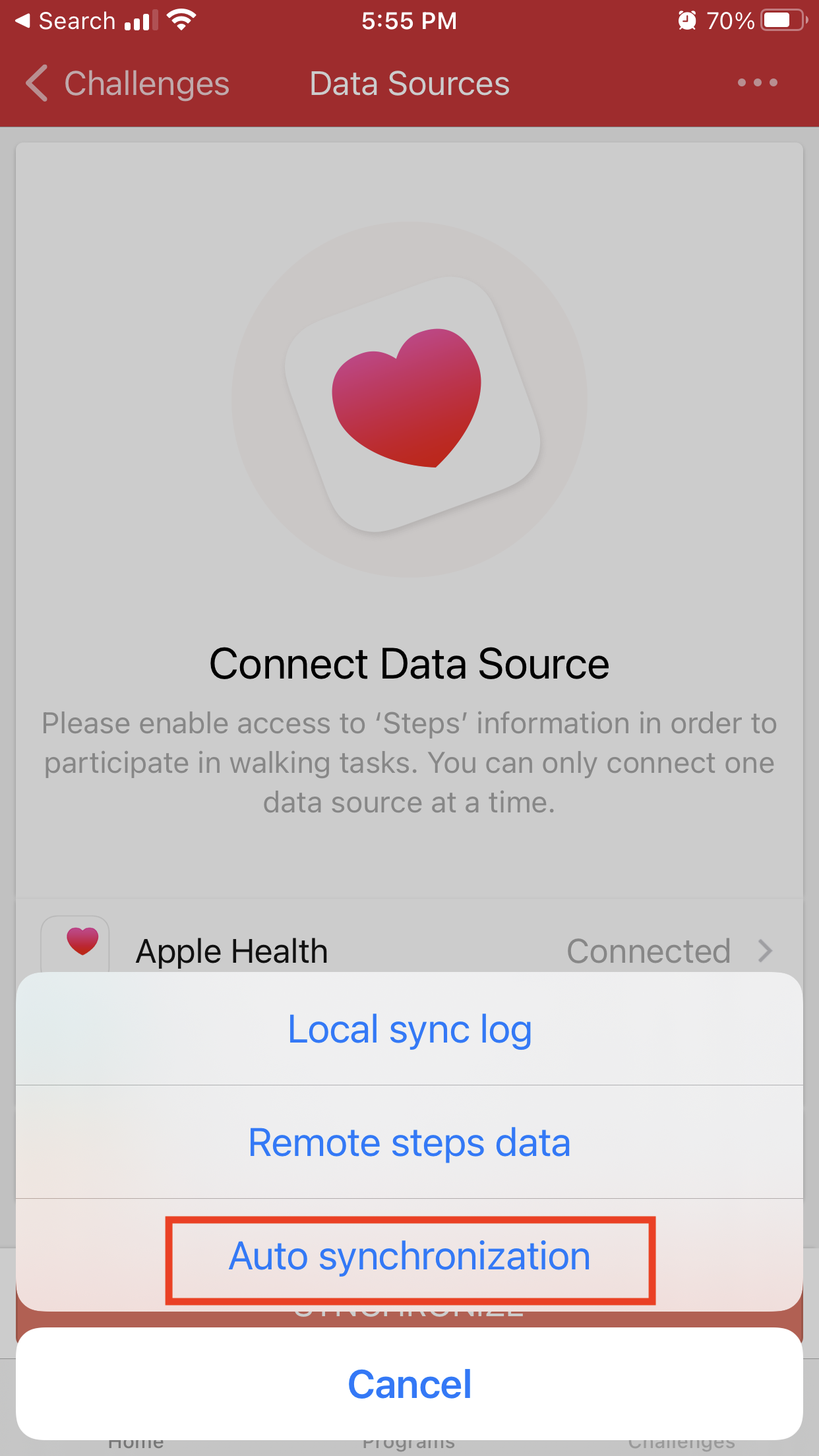 Screenshot showing the Auto synchronization option