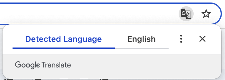 Google Chrome Language Detection.png